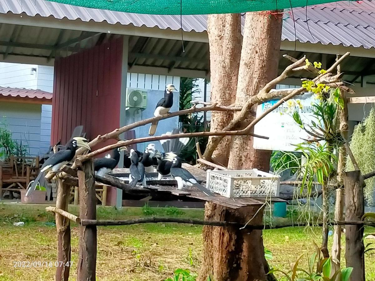 Eco Bungalow Koh Phayam Exterior photo